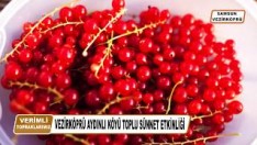 VezirKöprü Aydınlı Köyü Sünnet Töreni