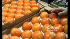 BAFRALILAR RUSYA’DA adlı videonun kopyası