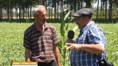 Çarşamba  VERİMLİ TOPRAKLARIMIZ  Bölüm 1