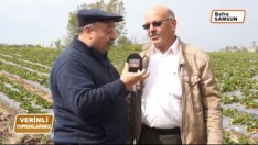 HAVZA VERİMLİ TOPRAKLARIMIZ 2016 Bölüm 3