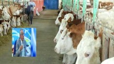 KÖYLÜ SORUYOR | 18.05.2016 | 2.BÖLÜM