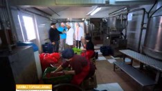 Merzifon Bölüm 2 Verimli Topraklarımız