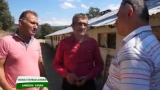 SALMA TAVUK KAVAK  BÖLÜM 2