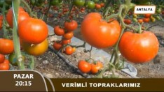 TANITIM VERİMLİ TOPRAKLARIMIZ 29 01 2017