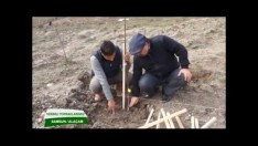 UZMANINDAN CEVİZ DİKİMİ