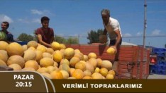 VERİMLİ TOPRAKLARIMIZ 06 08 2017 TANITIM