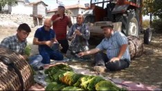 VERİMLİ TOPRAKLARIMIZ 17 09 2017 Tanıtım