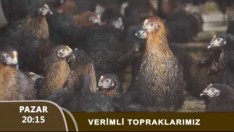 Verimli Topraklarımız Tanıtım 20 11 2016