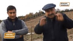 CEVİZ FİDANI DİKİMİNİN PÜF NOKTALARI