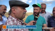 Ayçiçeği Üreticisi Dertli