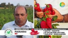 PotAMİNO’ya ÖVGÜLER BİTMİYOR!