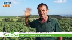 AYÇİÇEĞİ EKİMİNDE YANLIŞ