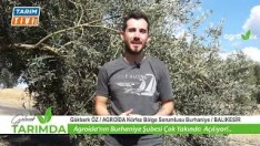 BURHANİYE ŞUBESİ AÇILIYOR!..