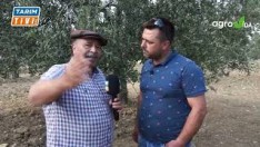 ZEYTİN ÜRETİCİSİ NE ÖNERDİ ?