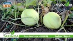 BU KAVUNU HIRSIZ BİLE ÇALMIYOR