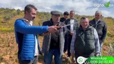 Dal Kanserini Bakın Kim Yayıyormuş Görün..