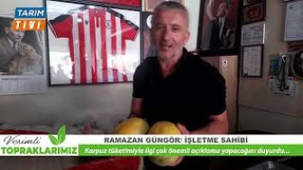 Süreyya Kavunu Tezgâhlarda Yerini Aldı