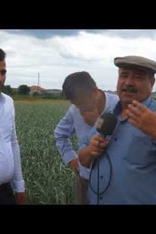 AGSAN GÜBRE  24 08 2017