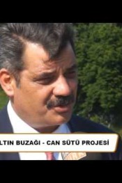 ALTIN BUZAĞI – CAN SÜTÜ PROJESİ