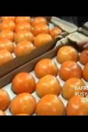 BAFRALILAR RUSYA’DA adlı videonun kopyası