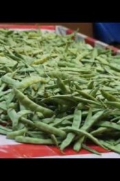 ÇARŞAMBA, BAFRA  31 12  2017 BÖLÜM 1