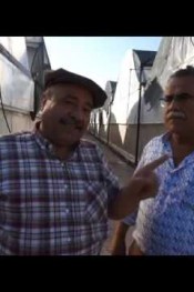 CEYLANDO PEMBE YÜZ GÜLDÜRECEK E Z ÖZEL