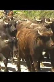 Doğan, “Özür yetmez İstifa etmeli”