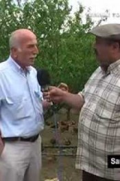 HÜSEYİN YAVUZ  KÖY YUMURTASI