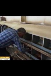 KÖY YUMURTASI    İletişim: 0505 35812 55﻿