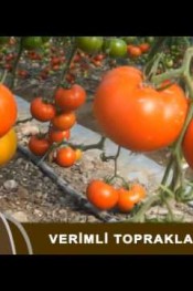 TANITIM VERİMLİ TOPRAKLARIMIZ 29 01 2017