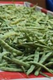 ÇARŞAMBA, BAFRA 31 12 2017 BÖLÜM 1