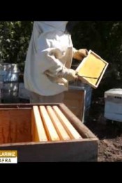 ARICILIĞIN PÜF NOKTASI KÖY TV DE