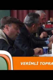 DAMLA SULAMA İLE ÇELTİK ÜRETİMİ