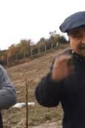 CEVİZ FİDANI DİKİMİNİN PÜF NOKTALARI