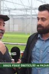 FİDE YETİŞTİRİCİLİĞİ VE PAZARLAMASI