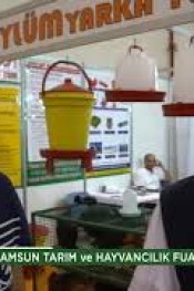 KÖYLÜM YARKA TAVUKÇULUK