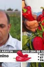 PotAMİNO’ya ÖVGÜLER BİTMİYOR!