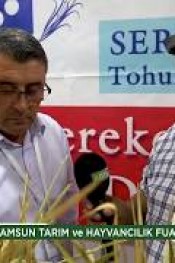 SGP TOHUM SAMSUN FUARI