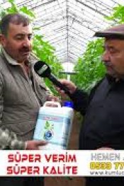 Bu ayda Kavun Üretiyor