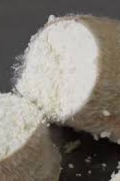 Küflü Fatoş Sonbaharı Bekliyor!