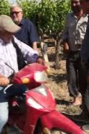 MANİSALI ÜZÜM ÜRETİCİLERİ NE DEDİ ?