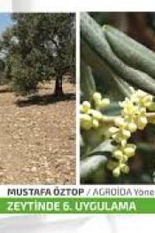 Zeytin Bahçelerinde 6. Uygulamalar Başlıyor