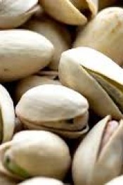 AGROİDA BESLEME PROGRAMI İLE YENINIZDA