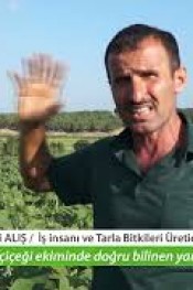 AYÇİÇEĞİ EKİMİNDE YANLIŞ