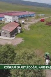 KARS GÖKSU PEYNİRCİLİK