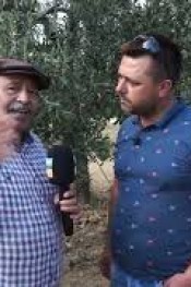 ZEYTİN ÜRETİCİSİ NE ÖNERDİ ?