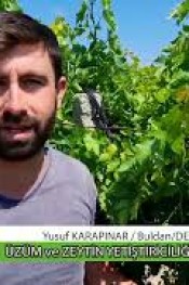 ZEYTİN ve ÜZÜM ÜRETİCİSİ NE DEDİ