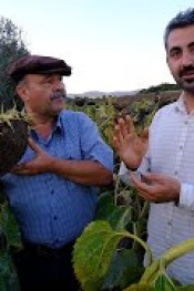 AYÇİÇEĞİNDE KALİTE VE YÜKSEK VERİMİN SIRRI