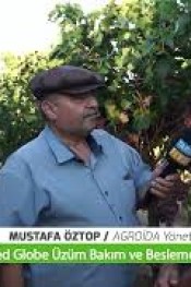 ERKEN ÜRETTİ FİYATI KENDİ BELİRLEDİ