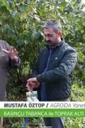 Basınçlı Tabanca Hediye!